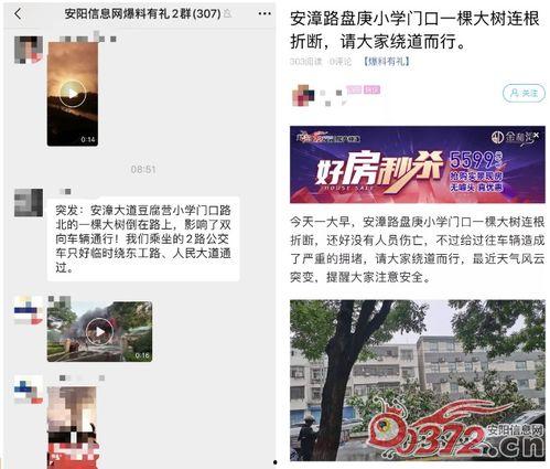 安阳最新爆料消息,揭秘神秘事件背后的惊人真相  第1张